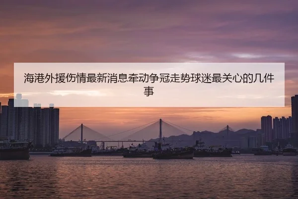 海港外援伤情最新消息牵动争冠走势球迷最关心的几件事