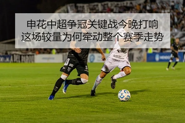 img_1780819349222_51_2_390.jpg